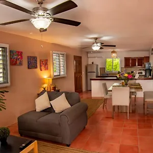 Apartment Budgies, Cozumel