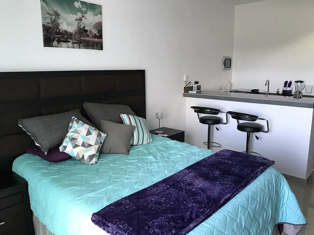 Lejlighed Luxury Suites At Suites Cozumel